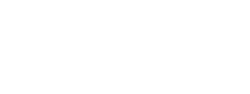 Frizelle Real Estate Group